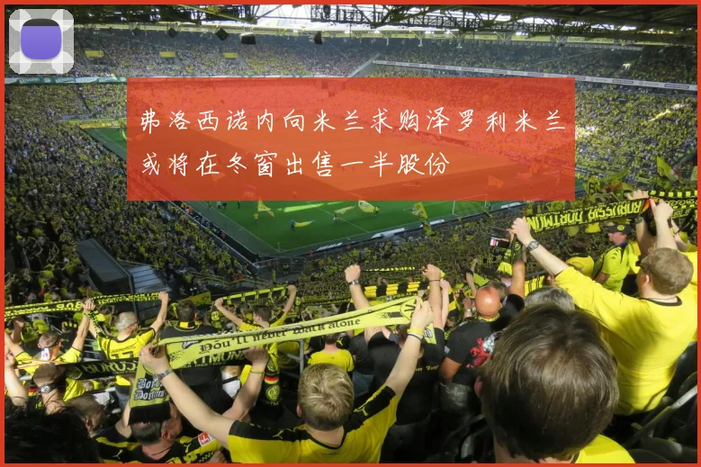 弗洛西诺内向米兰求购泽罗利米兰或将在冬窗出售一半股份